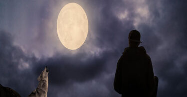 20 Signs You Were Born to Be a Loner | the Lone Wolf